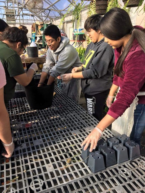 Students learning and working in the SCHS Horticulture class.