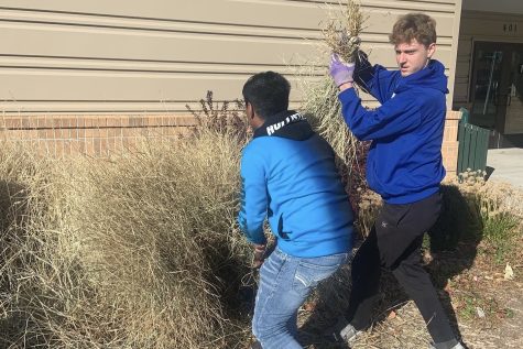 Students doing a fall clean up outside during their time in Plant Science class.