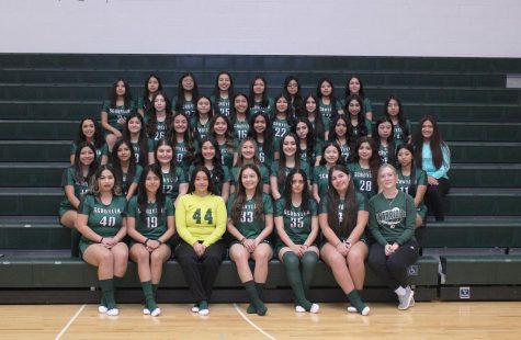 The 2023 SCHS Girls Soccer team.