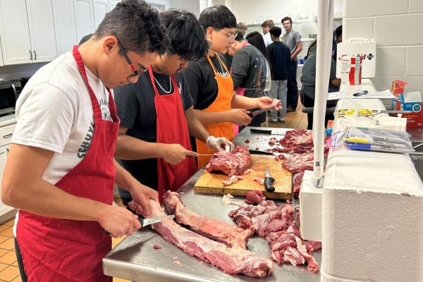 Students from Culinary Arts and Animal Science classes are processing two pigs in the Family Consumer Science kitchen. 